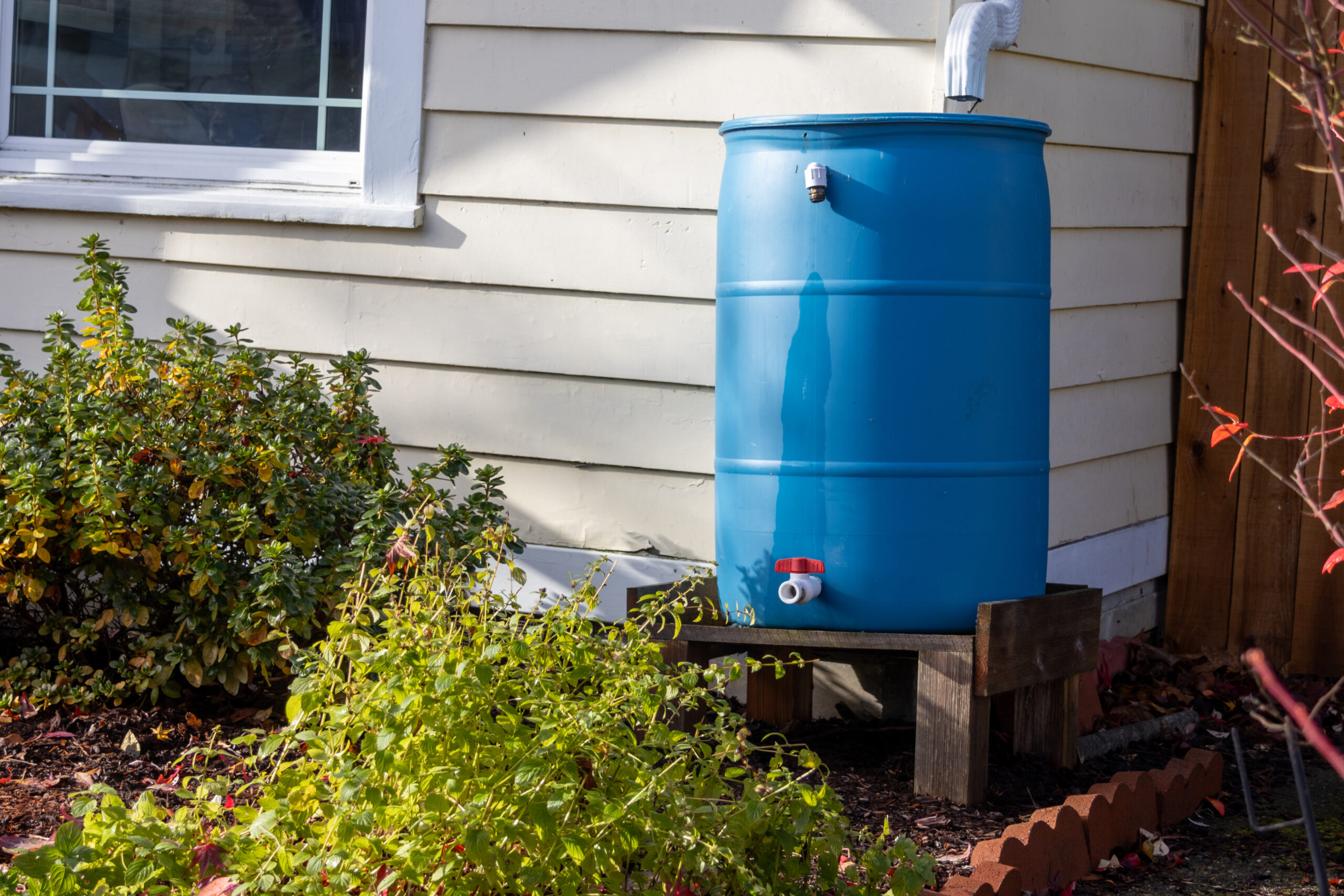 Gallery Detail: Safe Greywater Reuse At Home