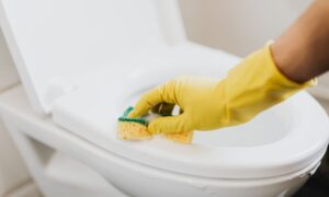 drain cleaning services in Salt Lake City