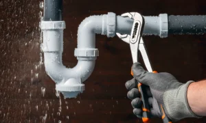 2-Inch Pipe Cleaner vs Larger Sizes