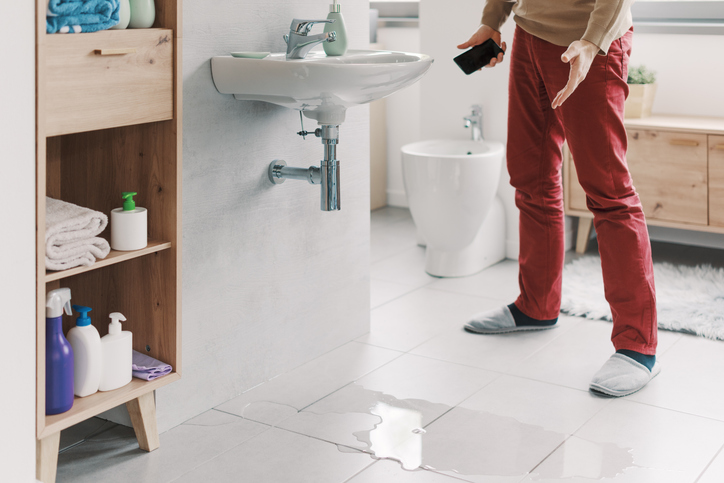 Homeowners Make in a Plumbing Emergency