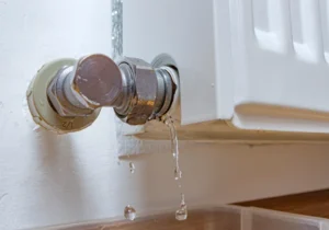 Hale Home Services