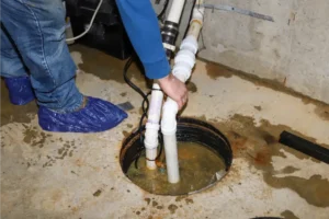 Hale Home Services