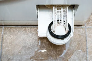 Washing Machine Drain