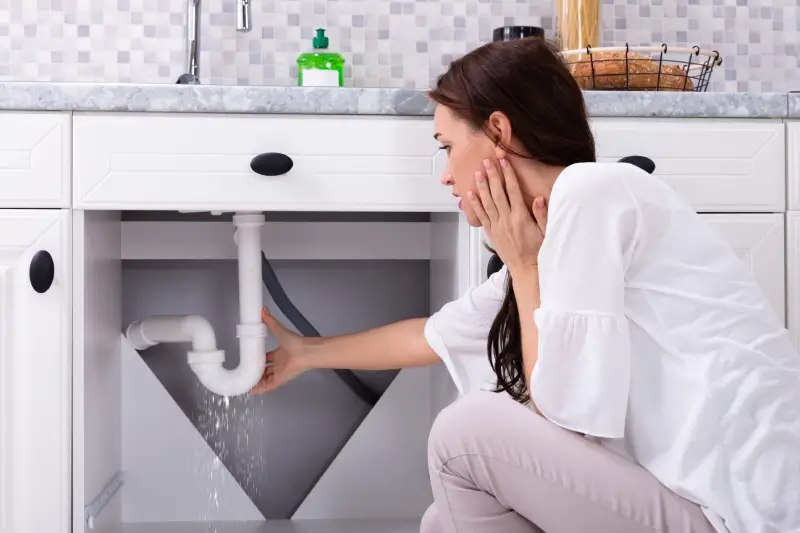 leak under kitchen sink